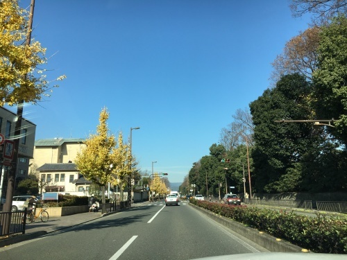 f0347891_14342821.jpeg