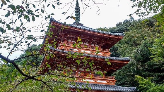 e0176993_07451090.jpg