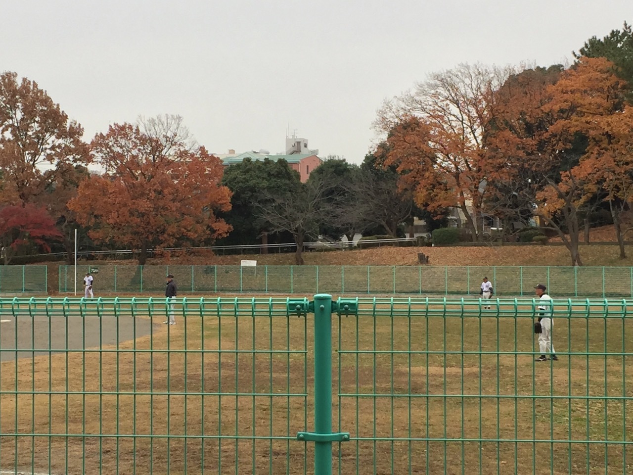 f0130894_20283188.jpg