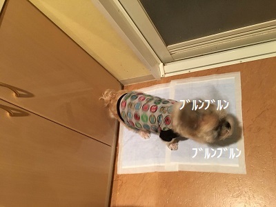 f0372998_23043645.jpg