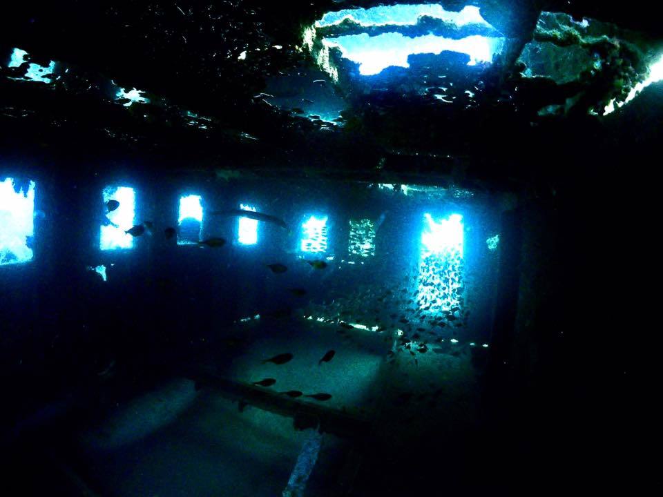 e0115199_13454600.jpg