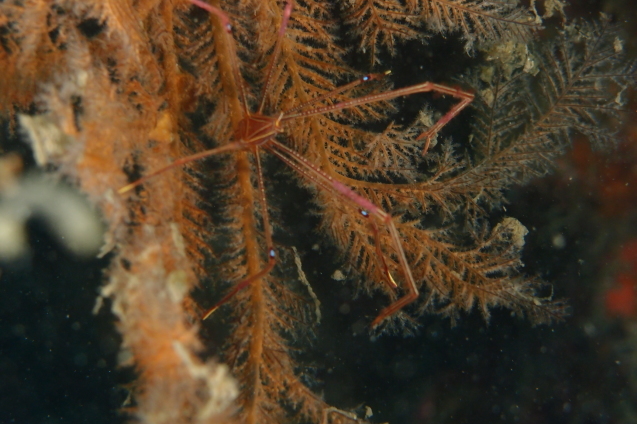 e0115199_13464950.jpg