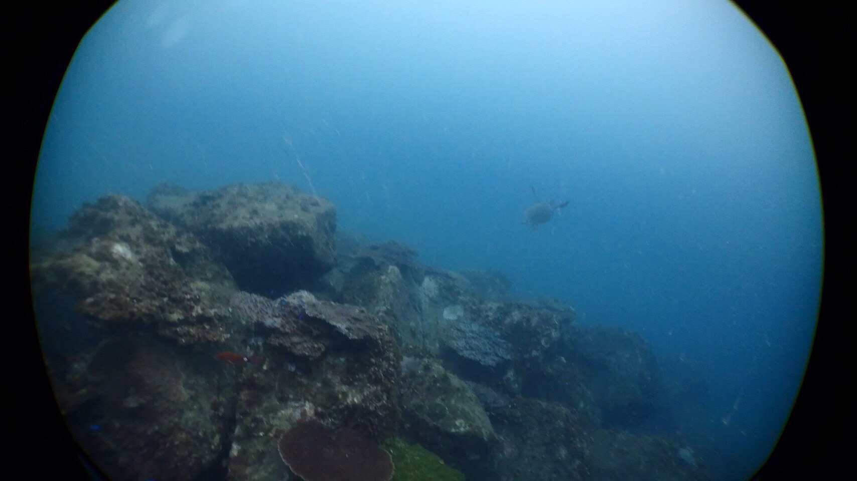 e0115199_14080200.jpg