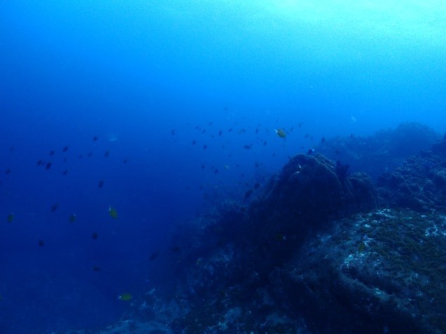 e0115199_14082380.jpg