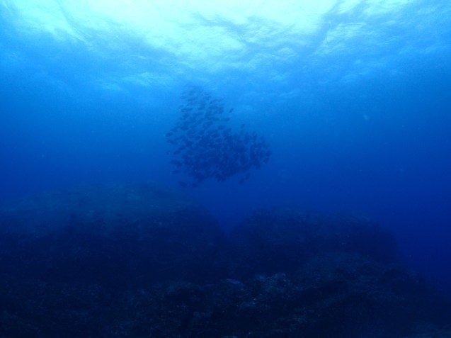 e0115199_14085748.jpg