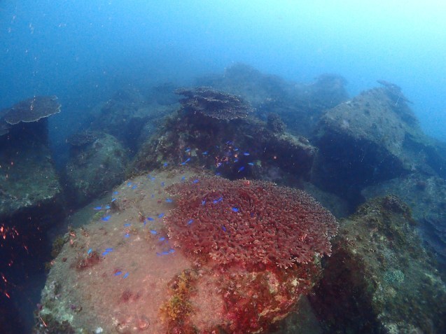 e0115199_14092780.jpg