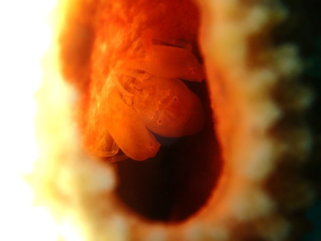 e0115199_16163467.jpg