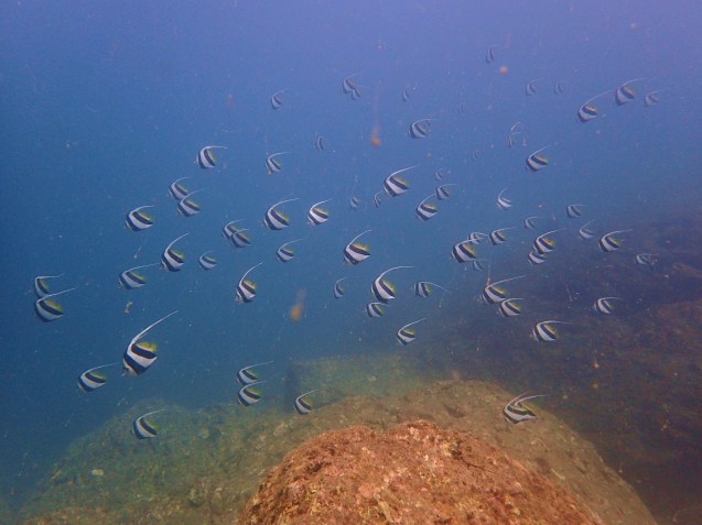 e0115199_16185398.jpg