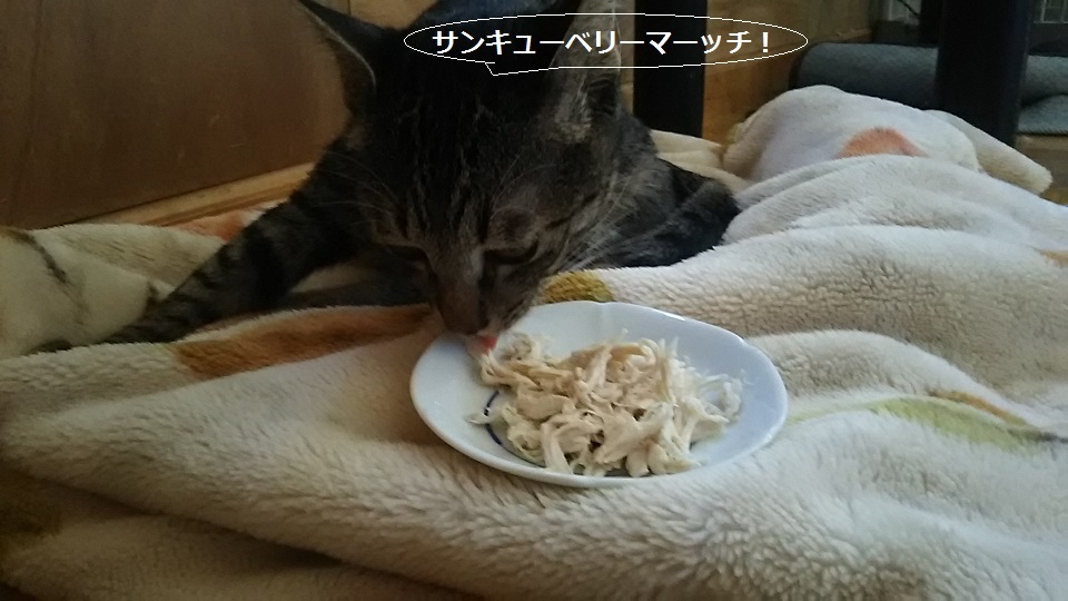 ささみ好物♪_f0242002_23242730.jpg