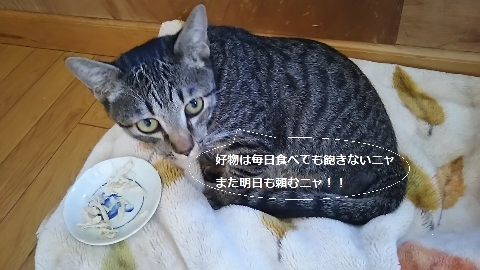 ささみ好物♪_f0242002_23245834.jpg