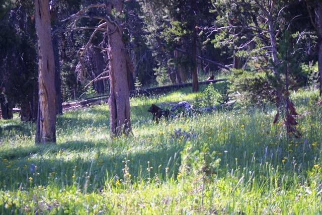 c0062603_23253812.jpg