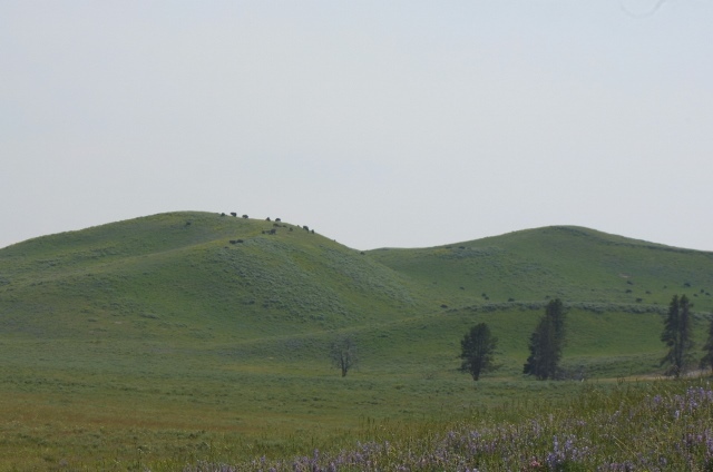 c0062603_23263525.jpg
