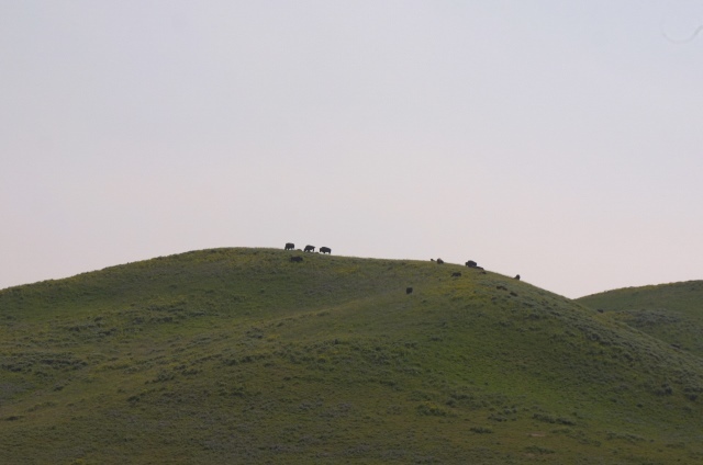 c0062603_23265367.jpg