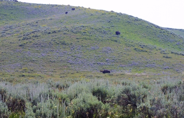 c0062603_23270216.jpg