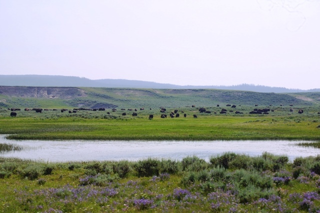 c0062603_23314150.jpg