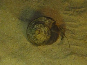 f0164003_00163831.jpg