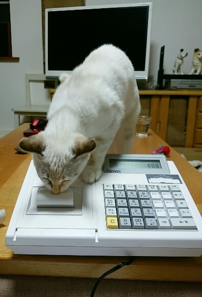レジスターが来た_f0255704_00265963.jpg