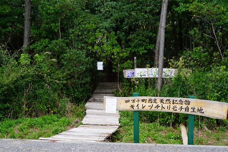 d0272107_21380474.jpg