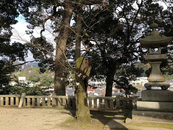 f0364707_23364291.jpg
