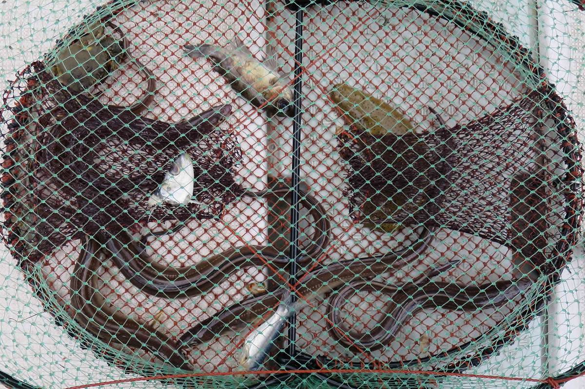 b0367008_16392451.jpg