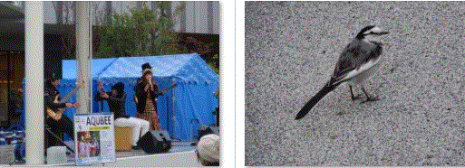 f0231709_23165662.gif