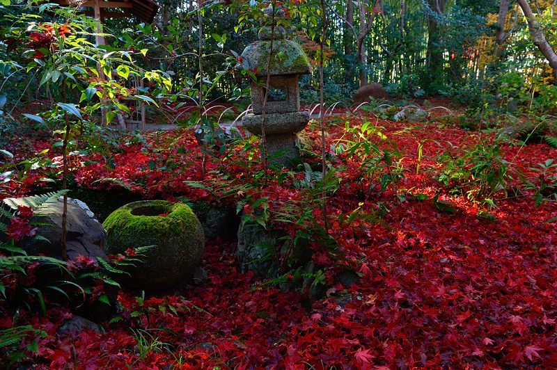 2017京都の紅葉・嵯峨野 厭離庵_f0032011_19040801.jpg