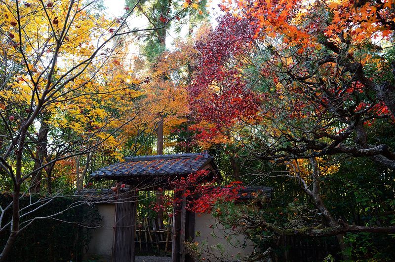 2017京都の紅葉・嵯峨野 厭離庵_f0032011_19040829.jpg