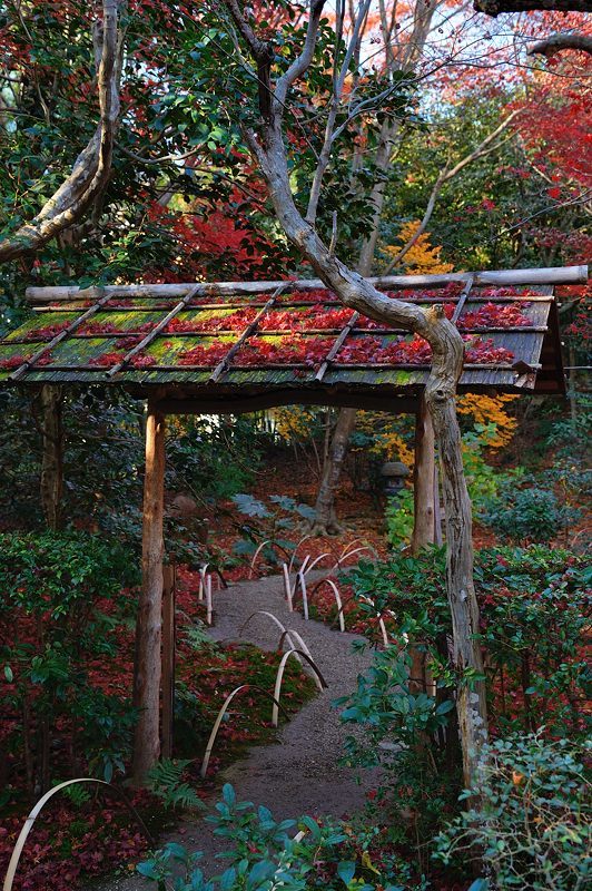 2017京都の紅葉・嵯峨野 厭離庵_f0032011_19040891.jpg