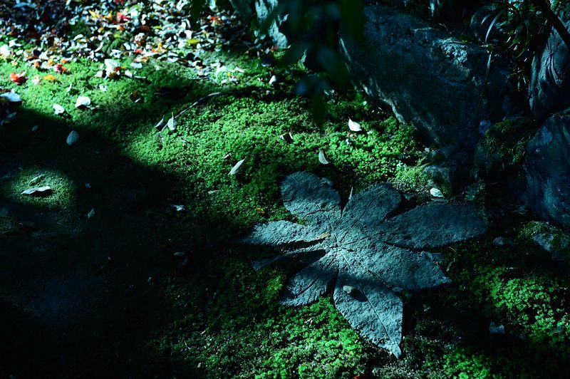 2017京都の紅葉・嵯峨野 厭離庵_f0032011_19083580.jpg