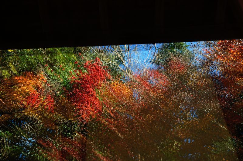 2017京都の紅葉・嵯峨野 厭離庵_f0032011_19083584.jpg