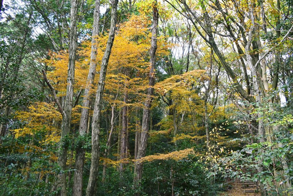 f0212511_12012566.jpg
