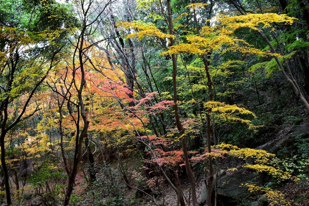 f0212511_12020186.jpg