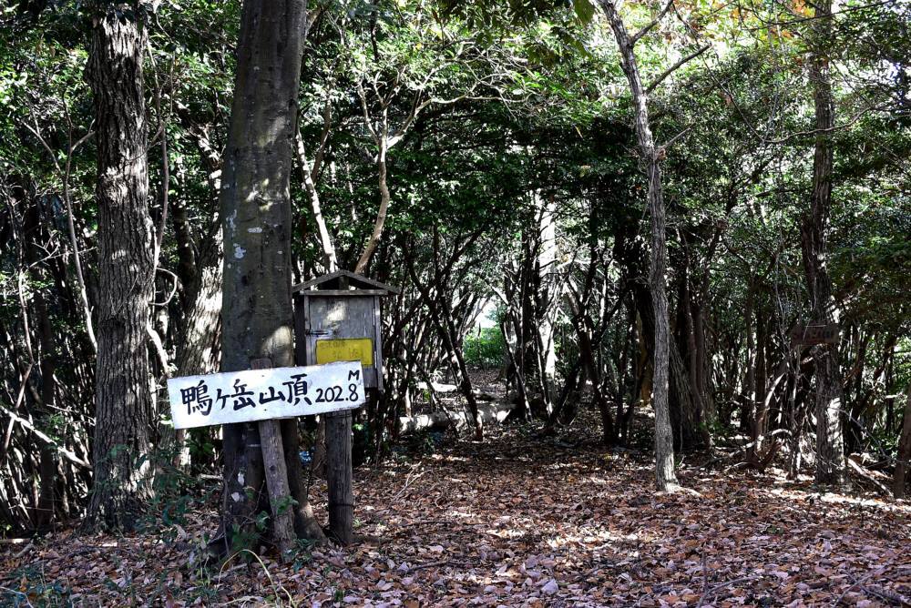 f0212511_23194745.jpg