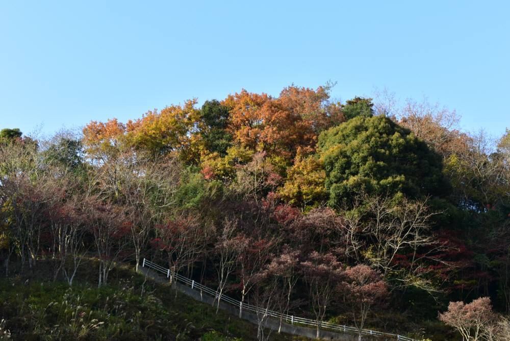 f0212511_23202470.jpg