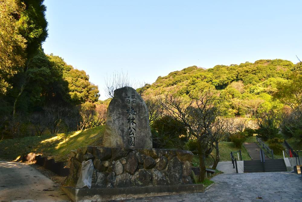 f0212511_23214623.jpg