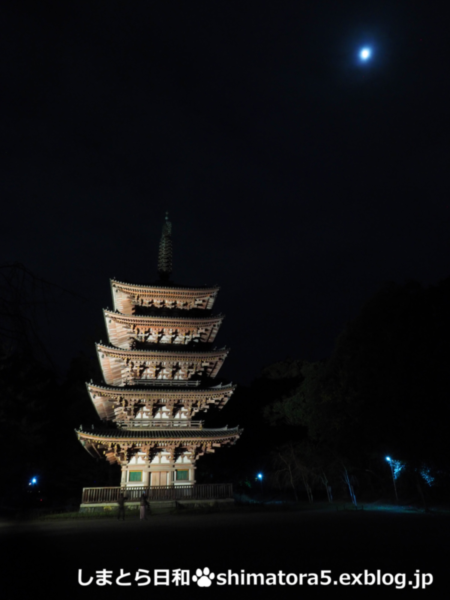 もみじ狩り@2017.京都➁嵯峨野・醍醐寺_c0356722_18505099.jpg