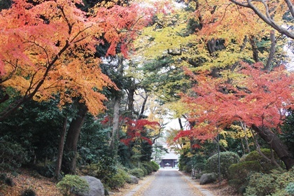 他宗教の参道の美しさ_b0312424_09362881.jpg