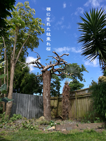 d0042827_09322921.jpg