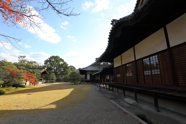 b0169330_0444790.jpg