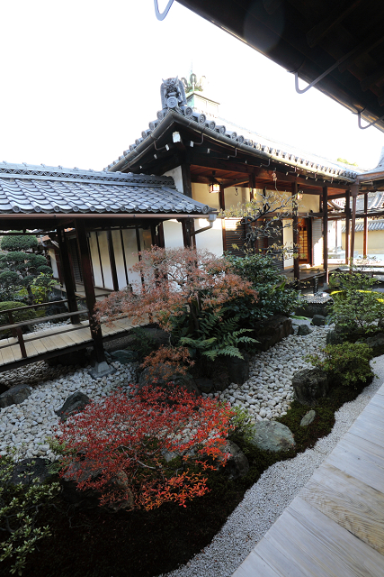 紅葉の京都2017 －東寺 お坊さまと巡る秋の特別拝観（観智院）－ _b0169330_820420.jpg