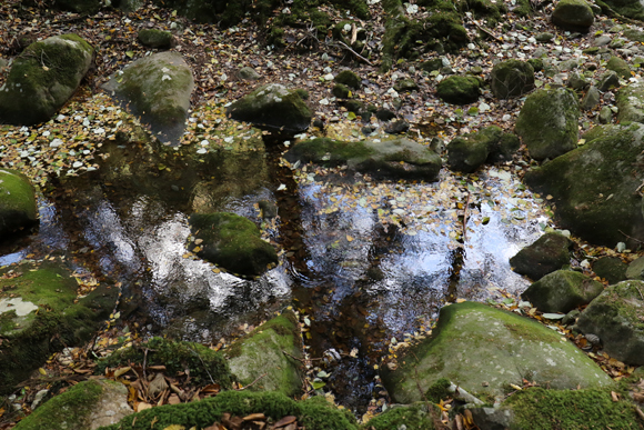 e0138031_12031431.jpg