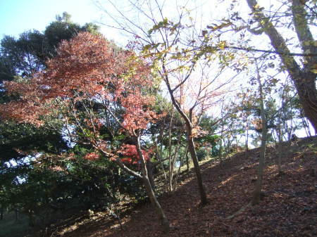 b0137932_15564621.jpg