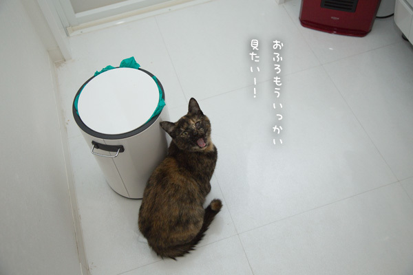さびねこはお風呂がお好き? _d0355333_18202174.jpg