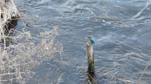 c0338136_15301339.jpg