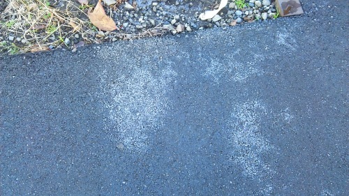 c0338136_16523050.jpg