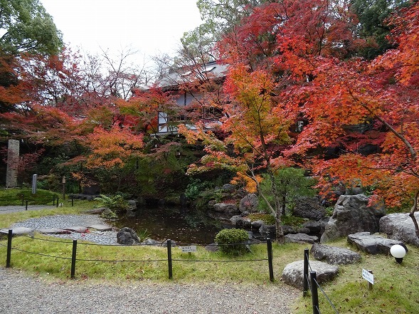 b0299042_08585635.jpg