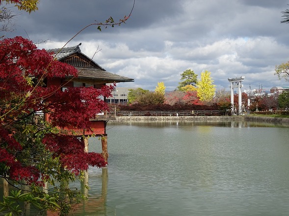 b0299042_09015636.jpg