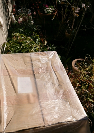 c0129250_11203496.jpg