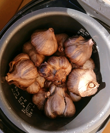 c0129250_11203584.jpg