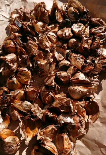c0129250_1120359.jpg